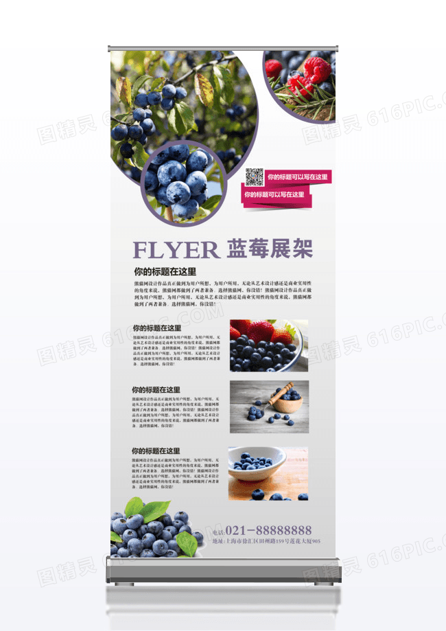 简约创意水果蓝莓x展架易拉宝