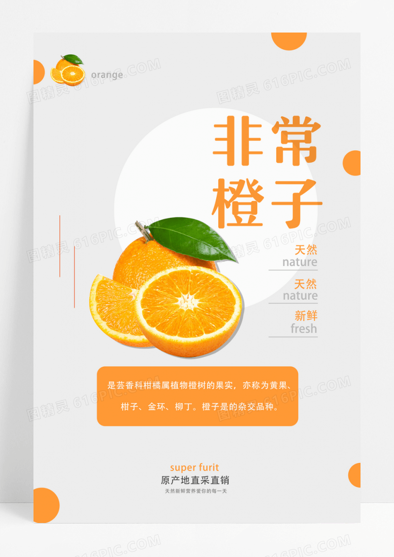 时尚橙子水果海报