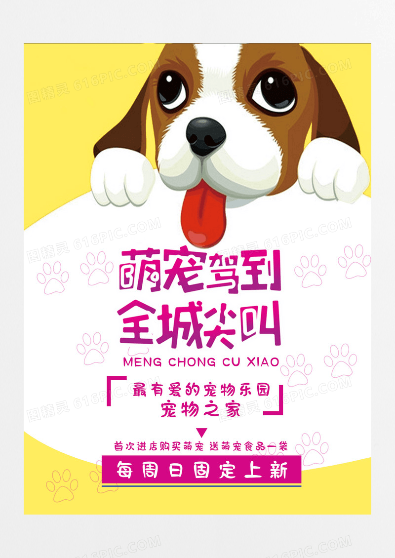 宠物店促销海报设计