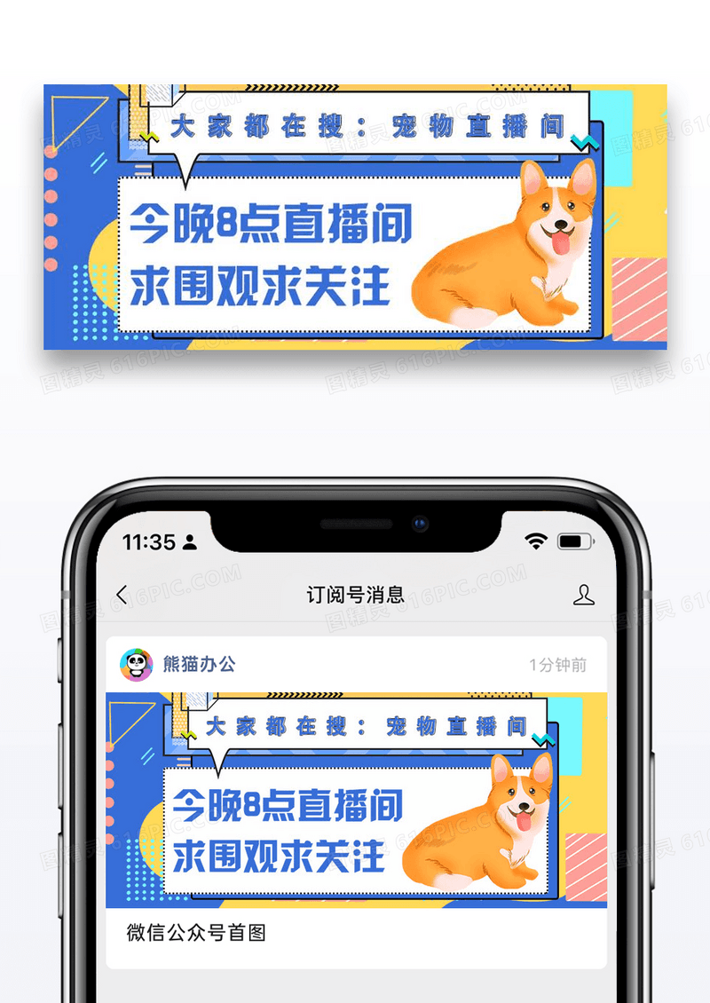 宠物直播求关注公众号封面配图图片设计