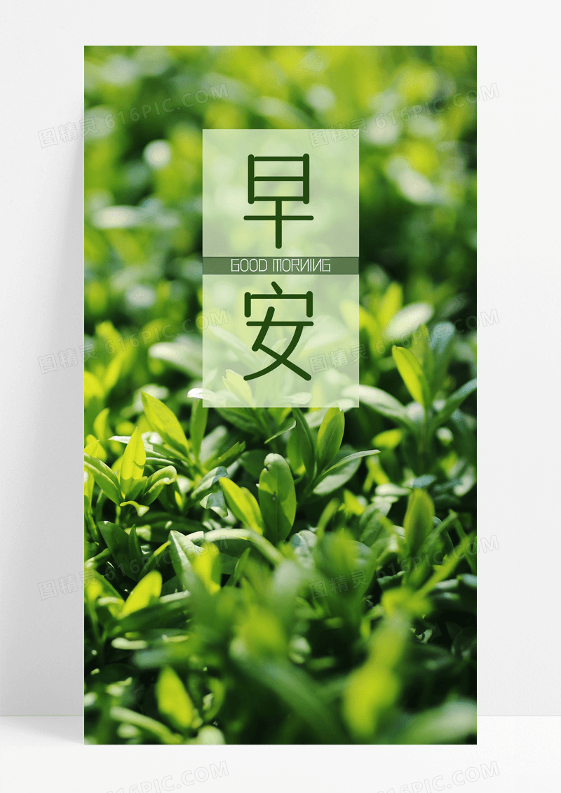 早安海报手机海报小草
