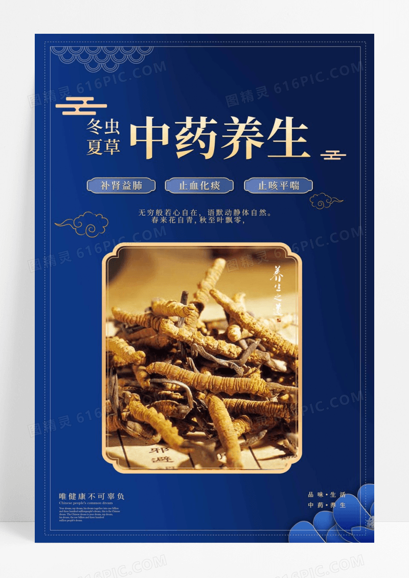中药养生保健品海报