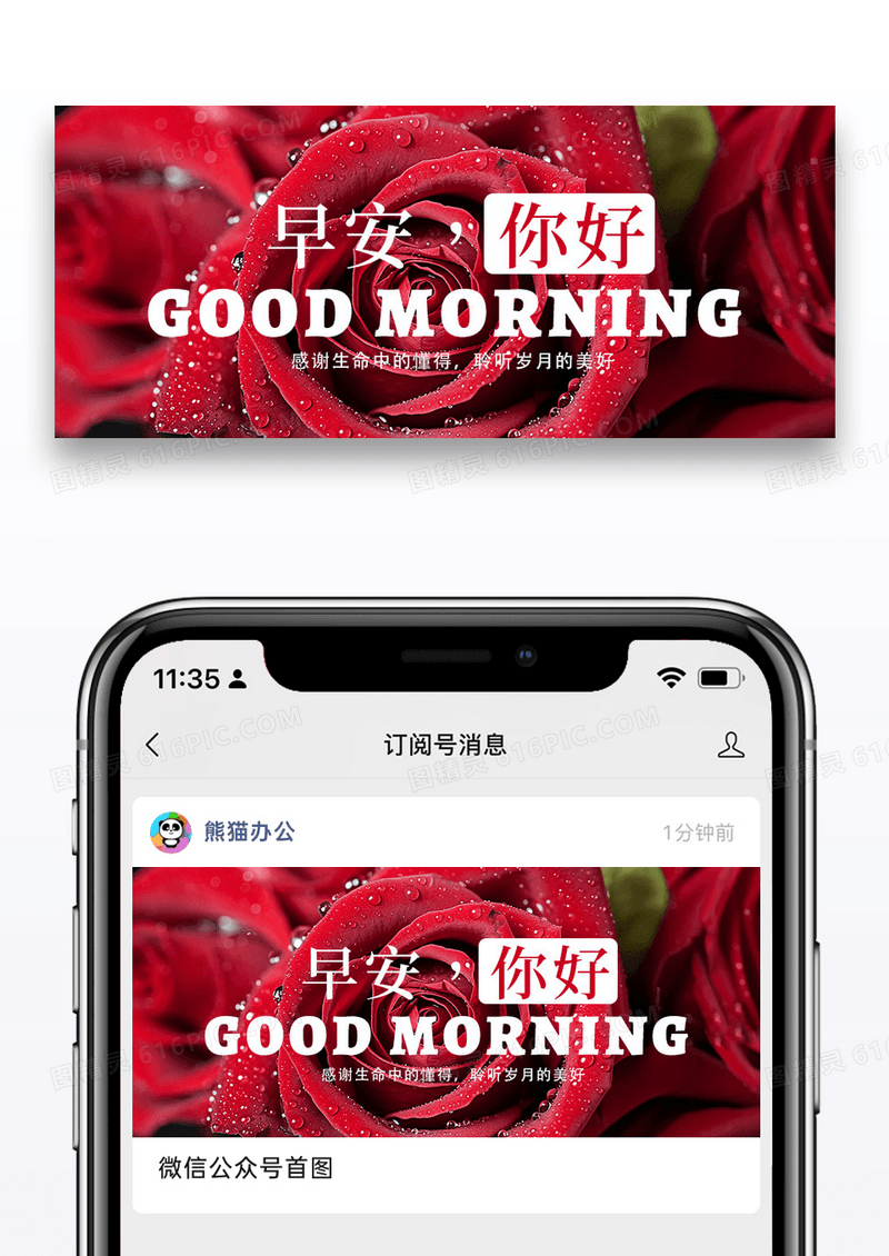 时尚摄影玫瑰早安你好公众号封面配图图片