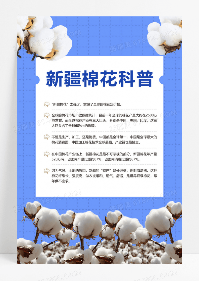  蓝色新疆棉花科普海报