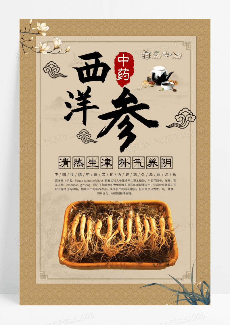中药西洋参海报