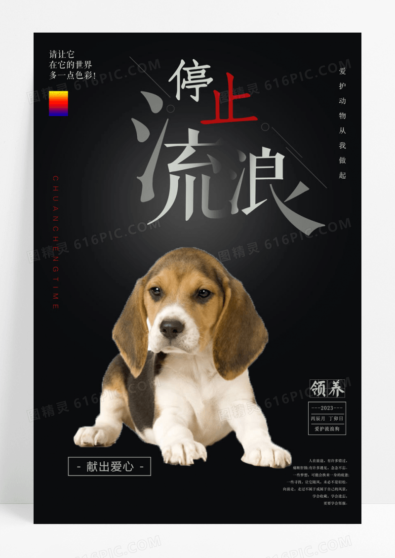 黑色领养流浪猫狗海报