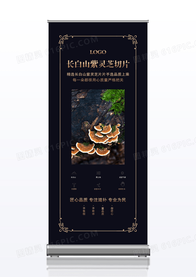 黑金风格长白山灵芝保健药品宣传促销x展架