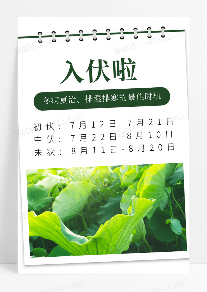 创意绿色简约入伏啦三伏天入伏天宣传海报