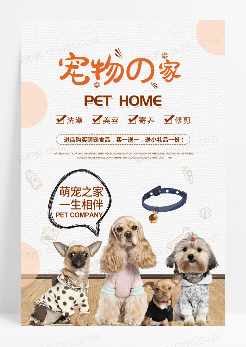 简约宠物领养海报
