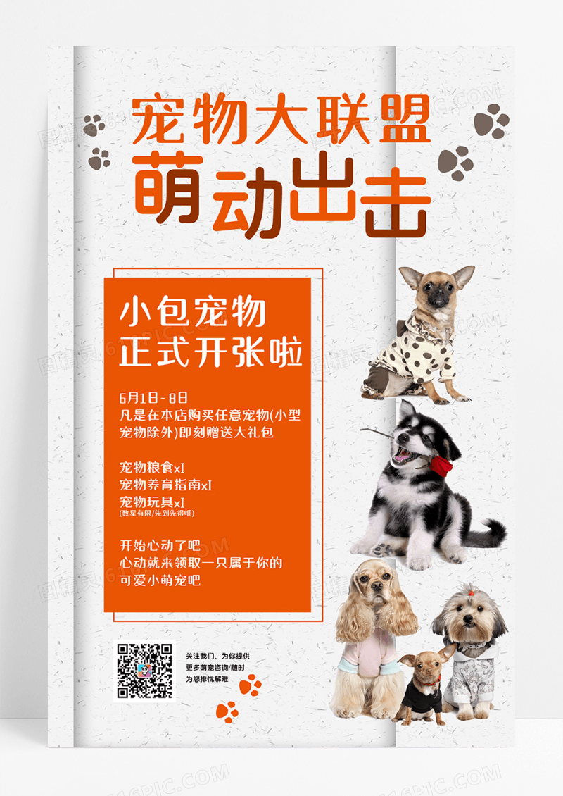 简约宠物促销优惠海报