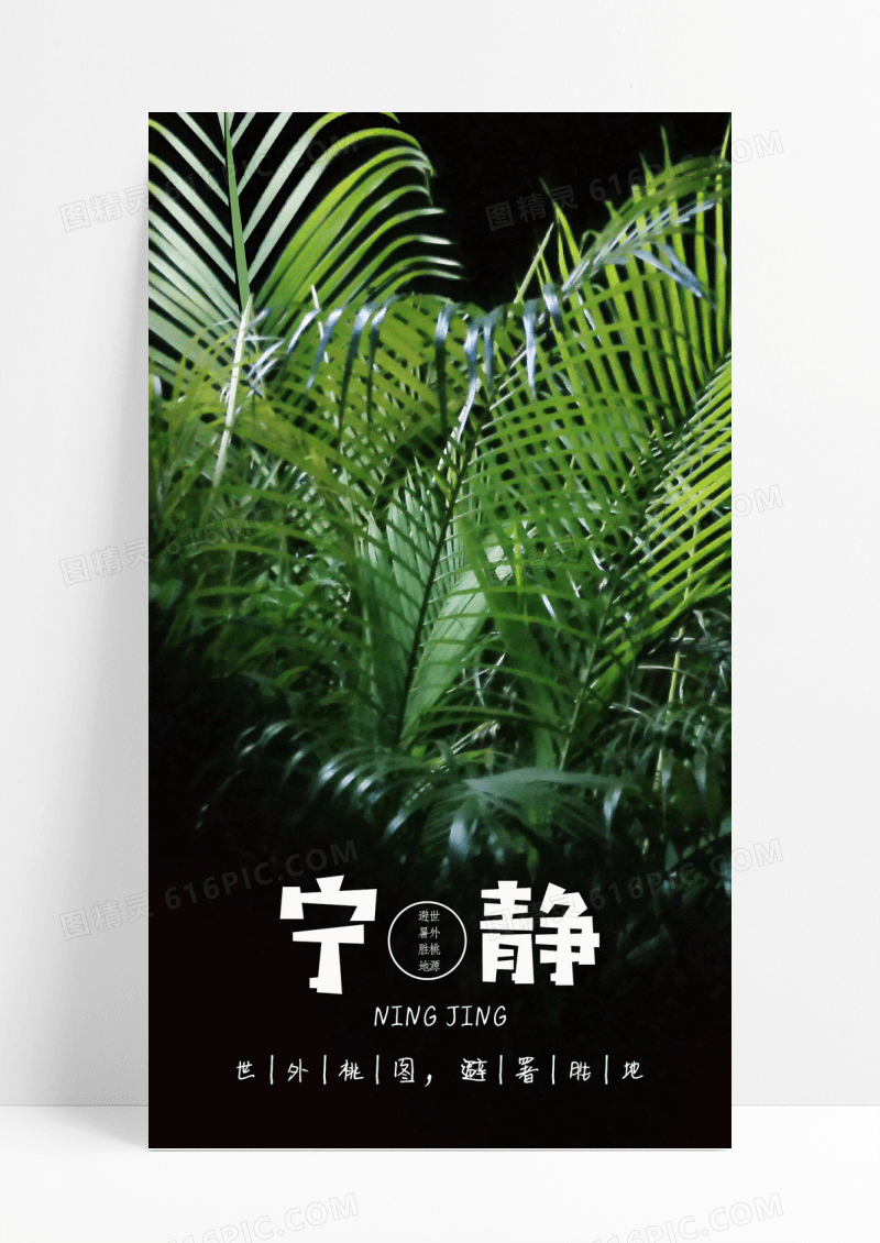 宁静手机海报植物配图图片