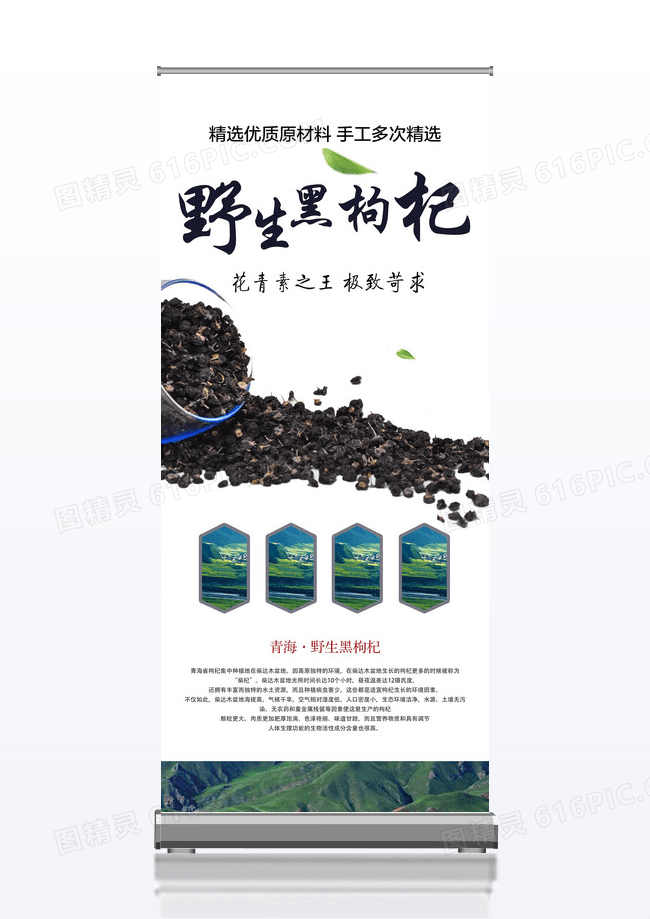 黑白风格野生黑枸杞保健药品宣传促销x展架