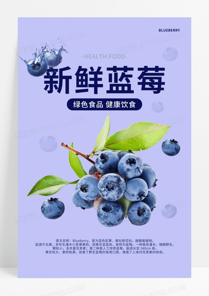 清新新鲜蓝莓水果宣传海报
