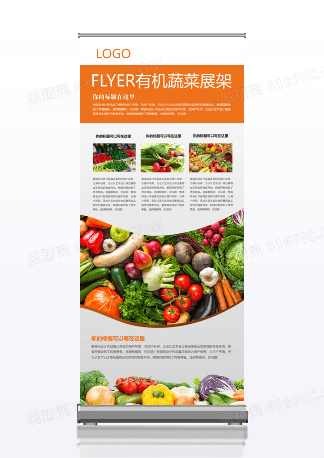 健康食品有机蔬菜宣传x展架