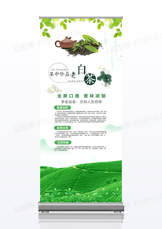 白色绿色清新福鼎白茶茶文化茶道茶艺展架