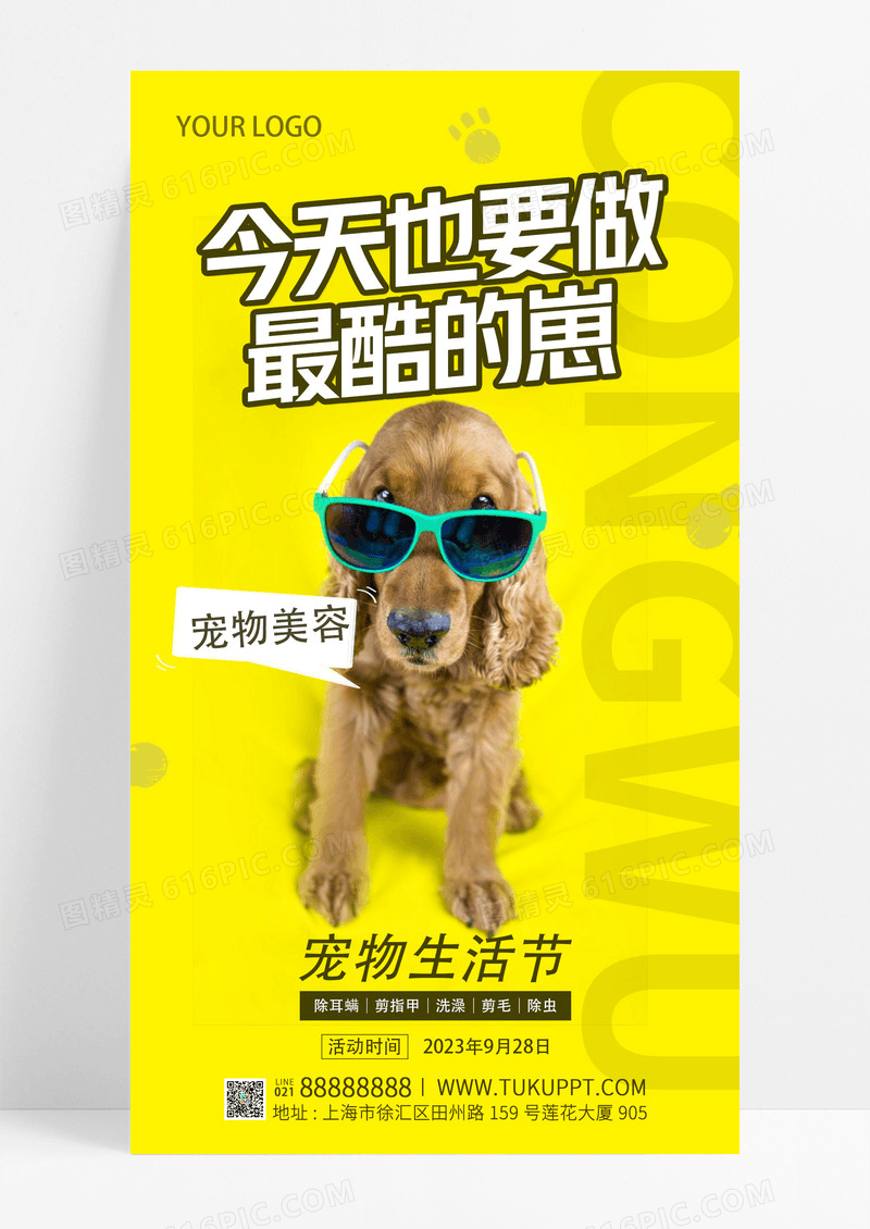 黄色简约风今天也要做最靓的崽宠物手机文案海报