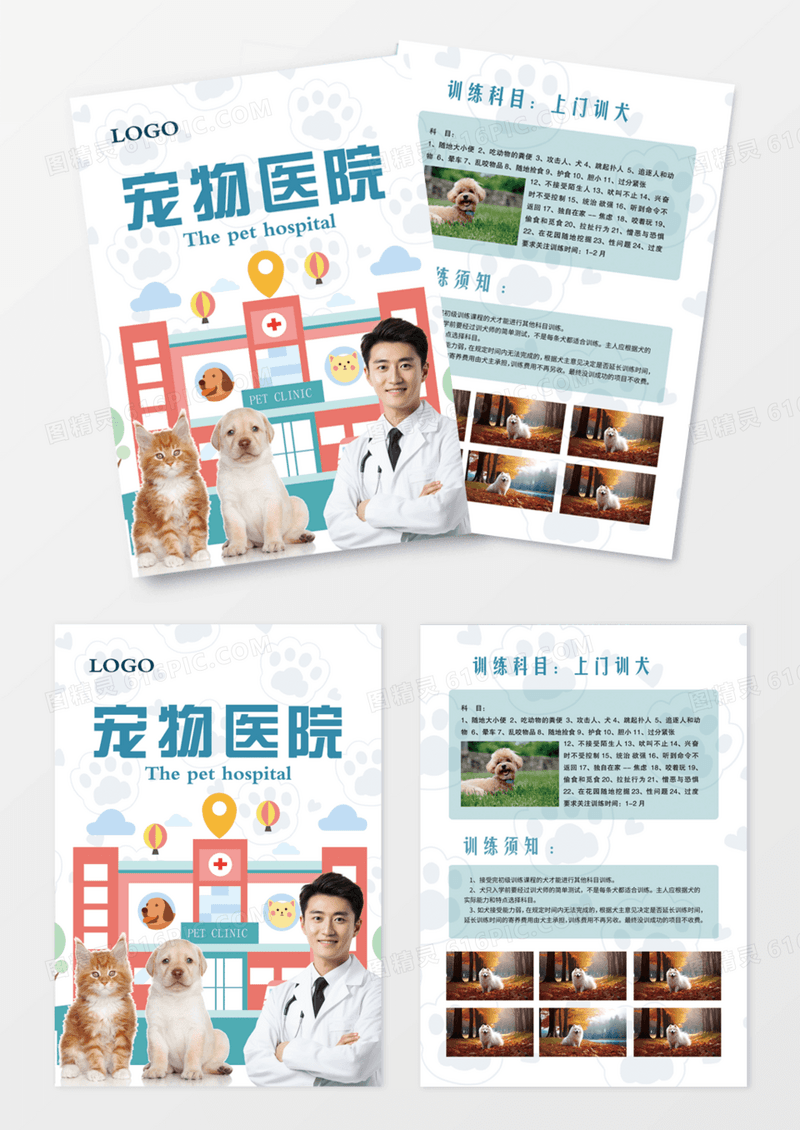 简洁简单大方宠物医院宣传单DM