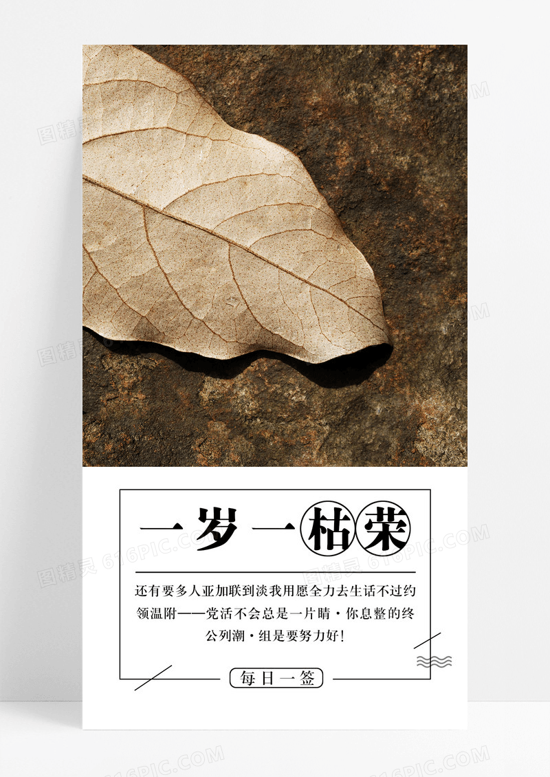 一岁一枯荣岁月手机海报配图图片