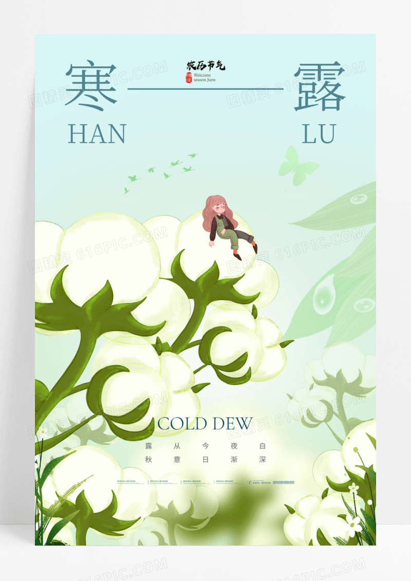 寒露棉花插画二十四节气海报