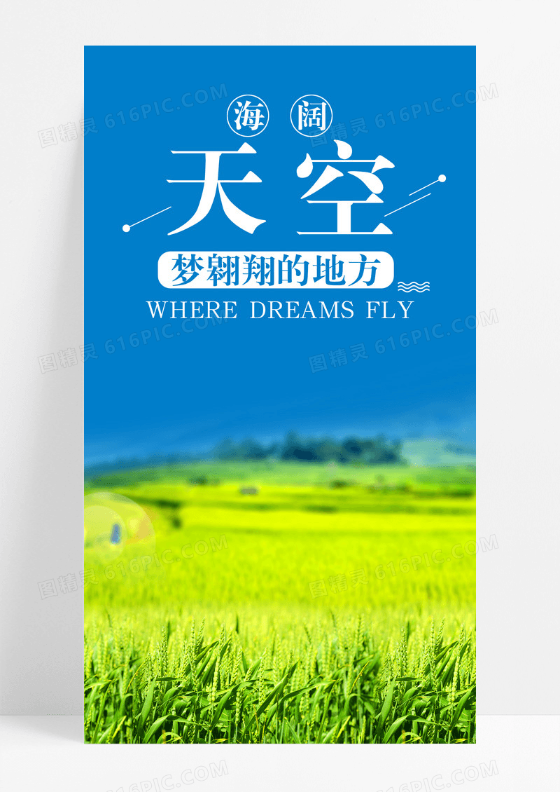 海阔天空翱翔手机海报配图图片