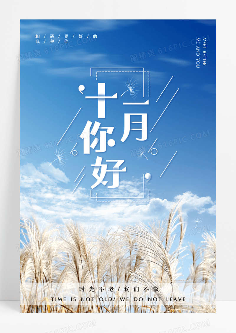 蓝色简约大气你好十一月创意海报