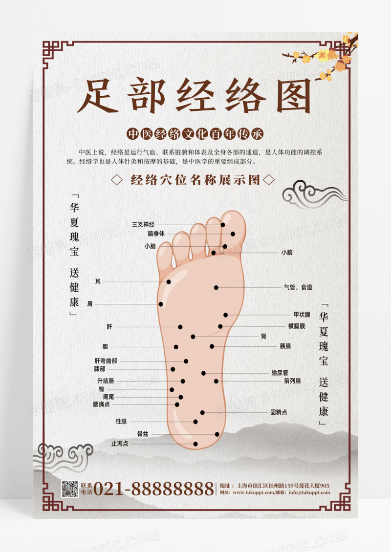 传统中医人体经络穴位套图海报