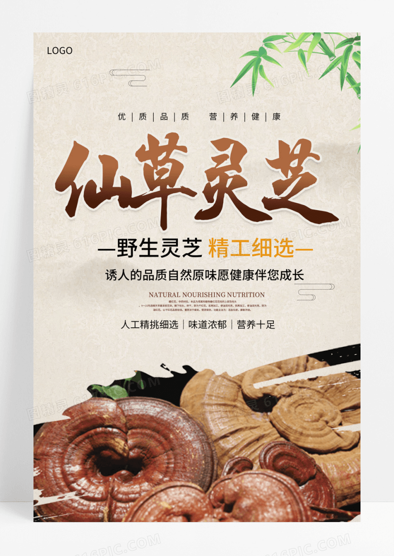传统中国风中药灵芝宣传海报设计