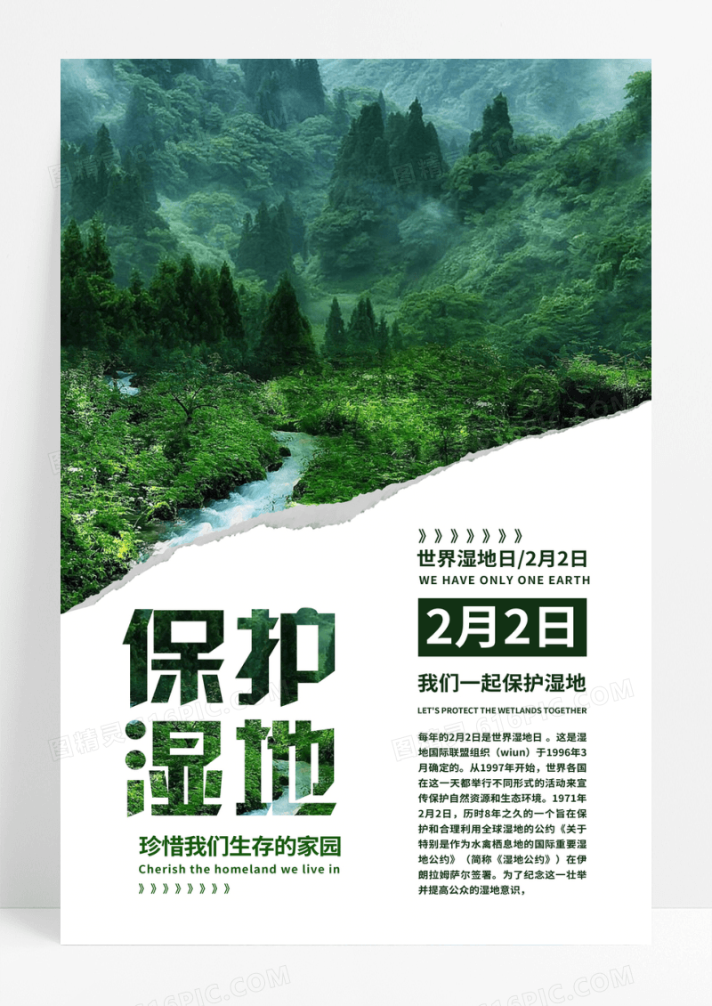 绿色实景简约世界湿地日保护湿地海报设计