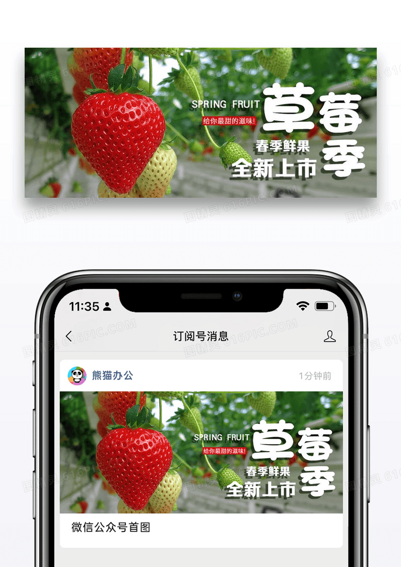 草莓季公众号封面配图图片设计
