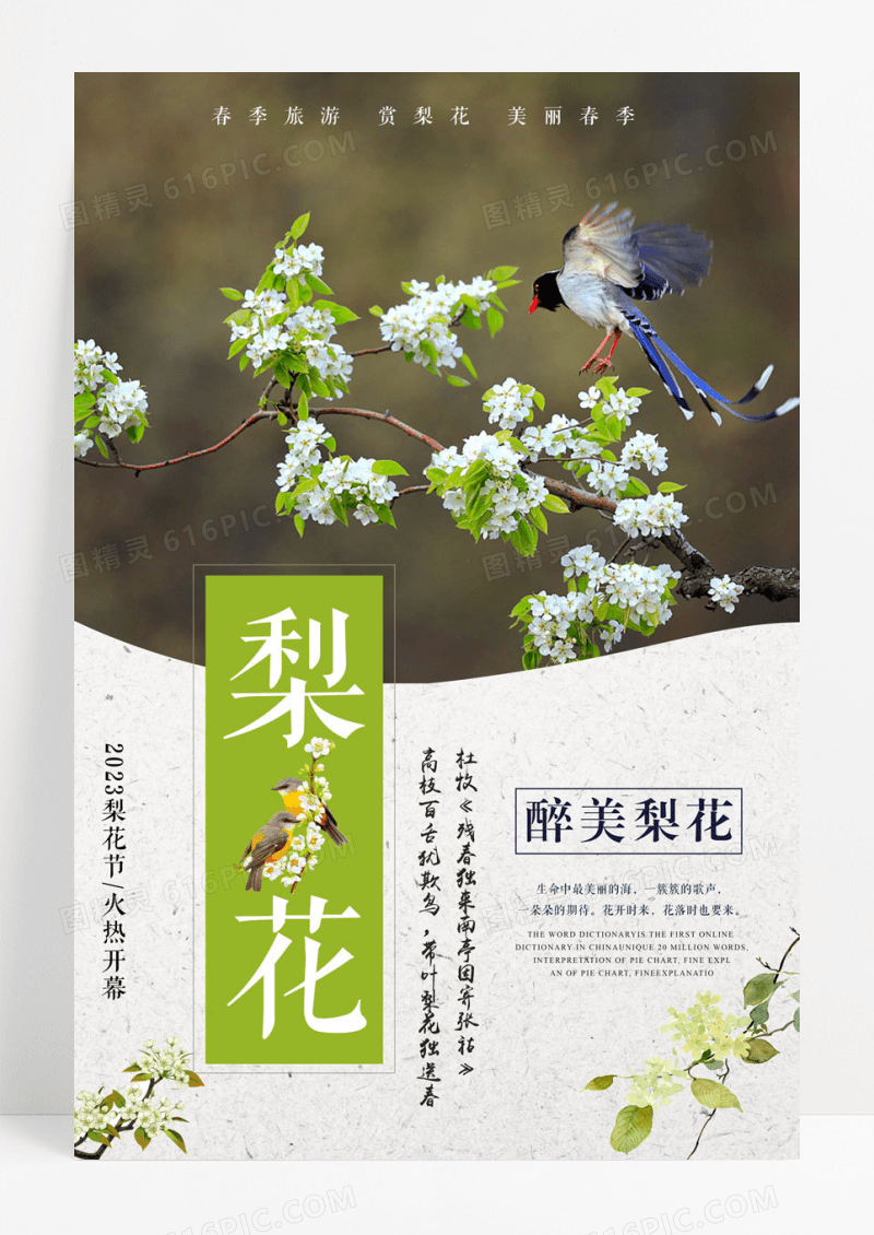 简约小清新梨花春季旅游海报