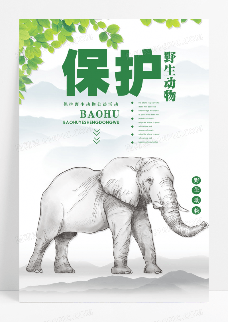 野生动物森系公益系列海报设计