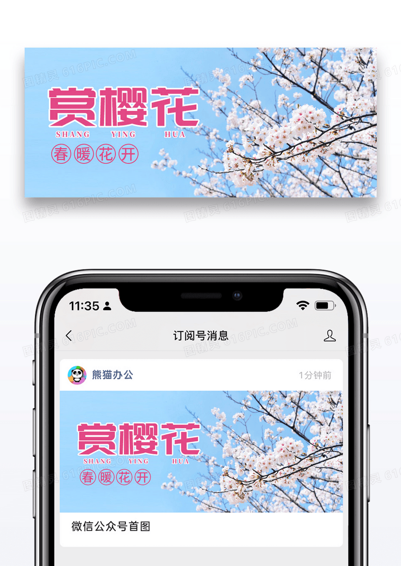 简约赏樱花公众号封面配图图片