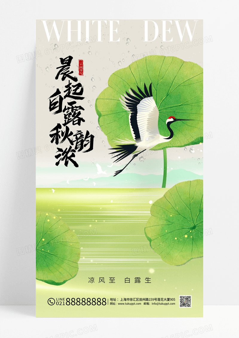 荷叶白露中国风节气海报