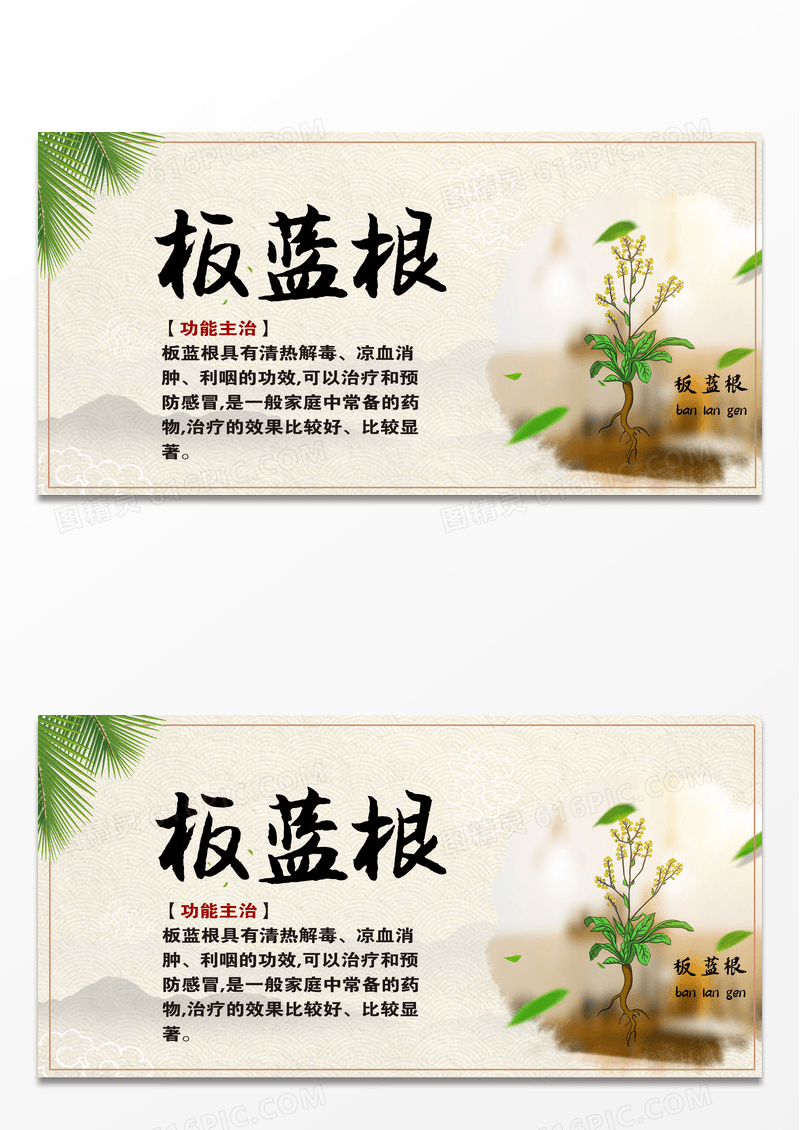 水墨板蓝根中药药材板蓝根展板