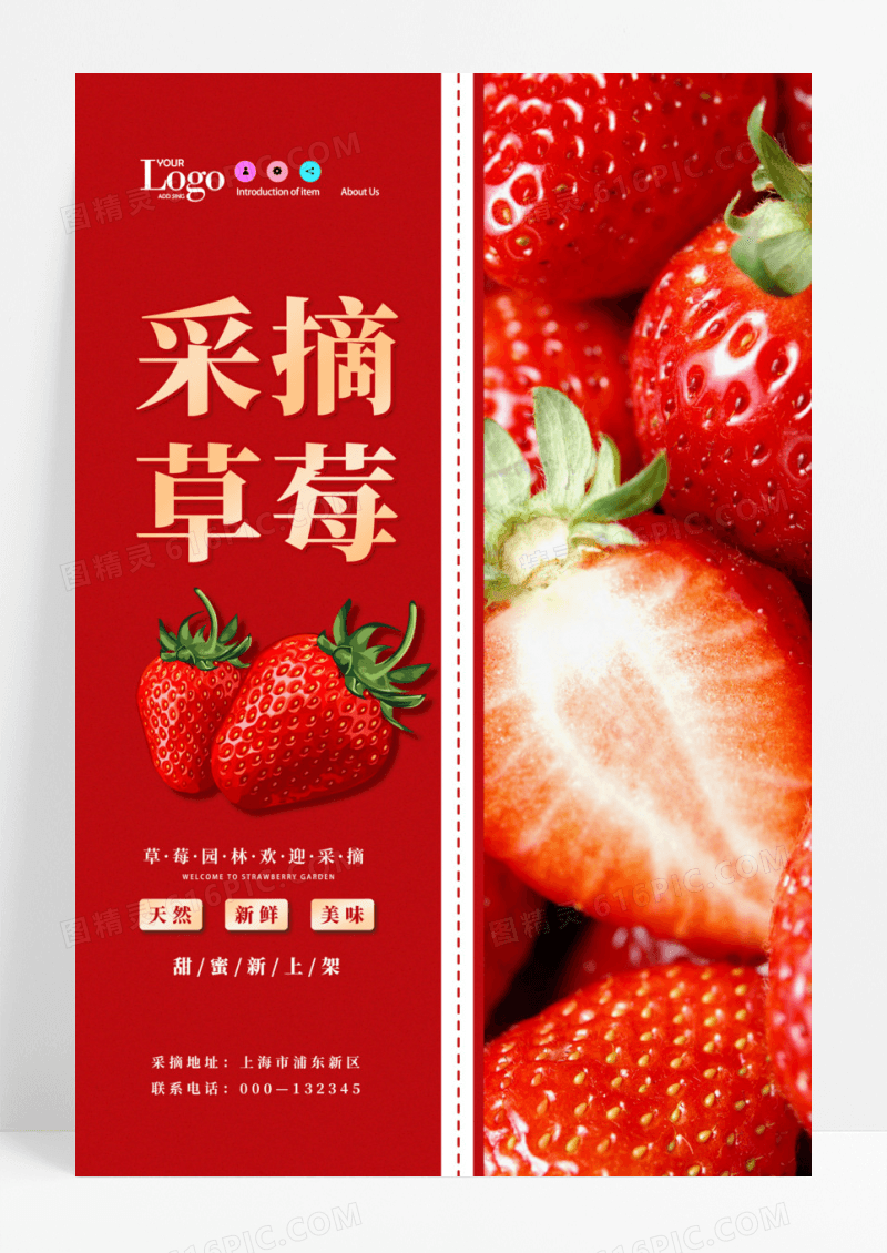 红色采摘草莓采摘海报草莓水果