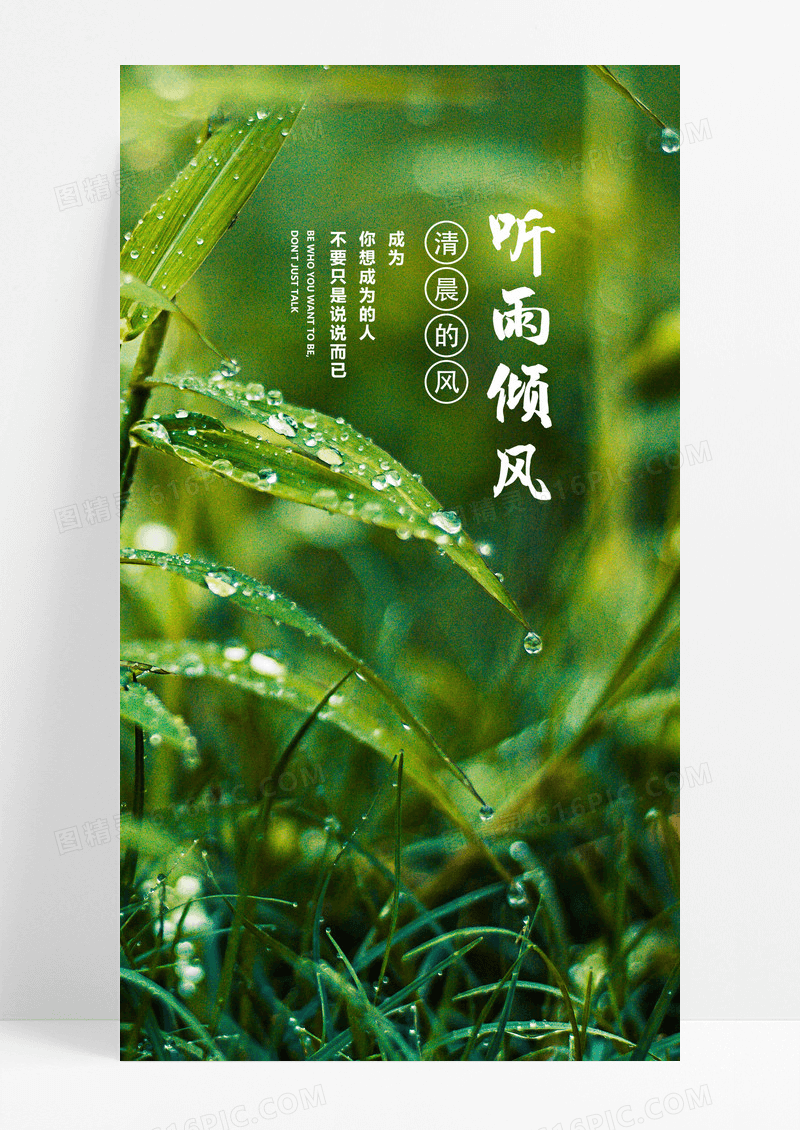   听雨倾风手机海报配图图片