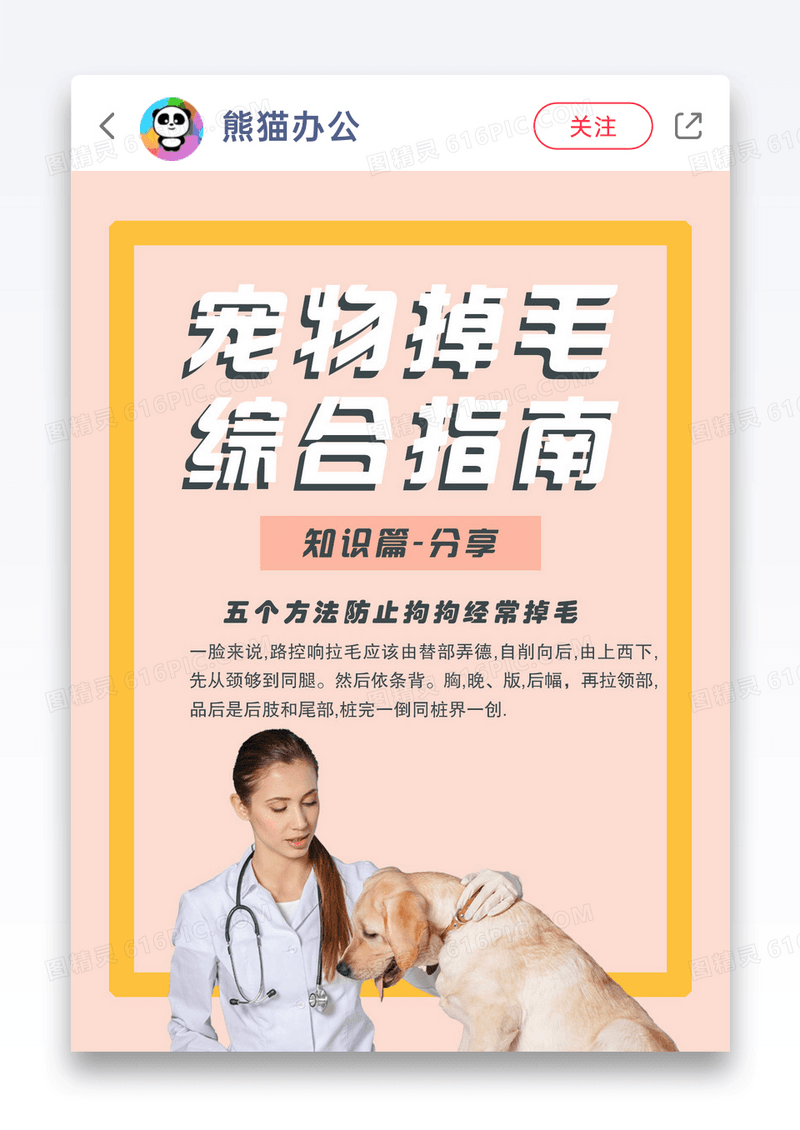 家有宠物防脱毛指南萌宠小红书封面图片