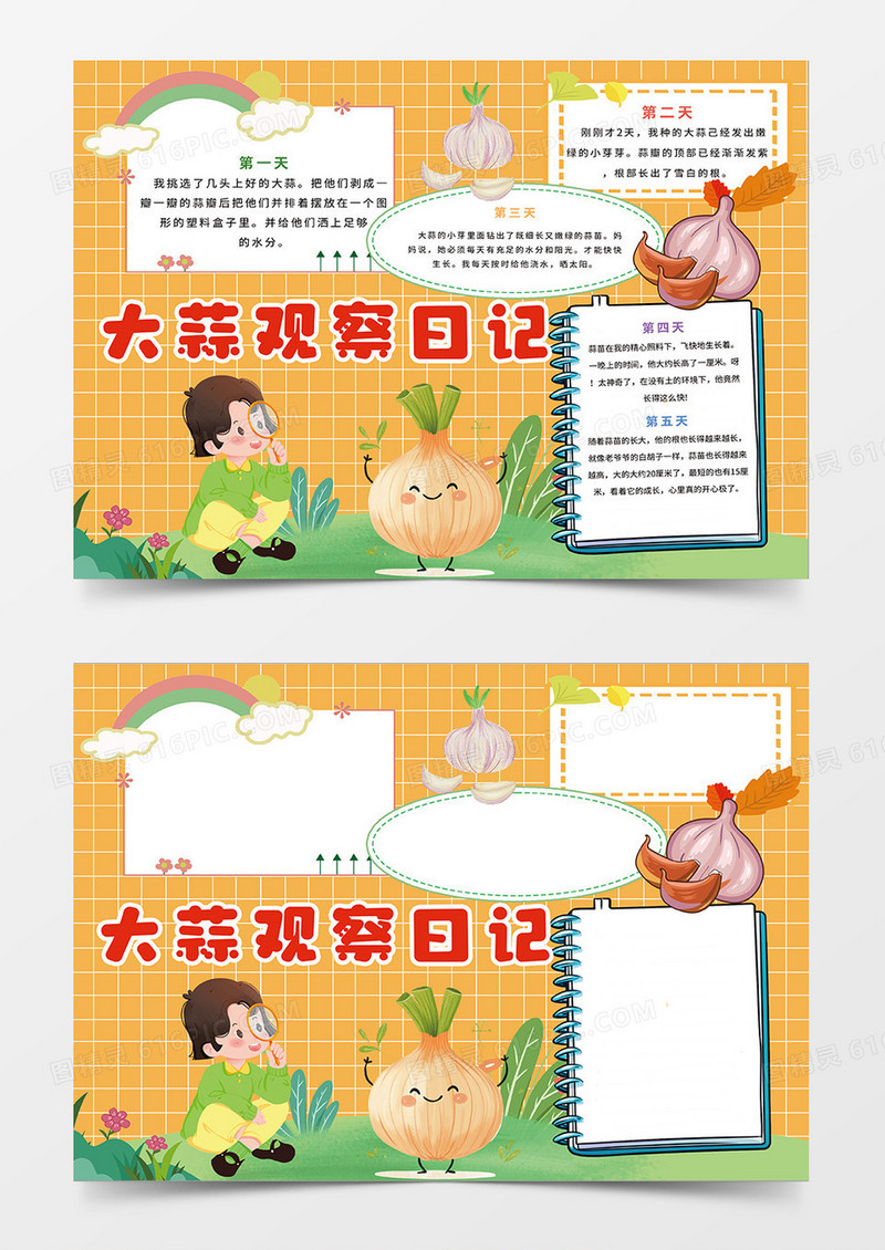 橙色简约大蒜观察日记小报手抄报