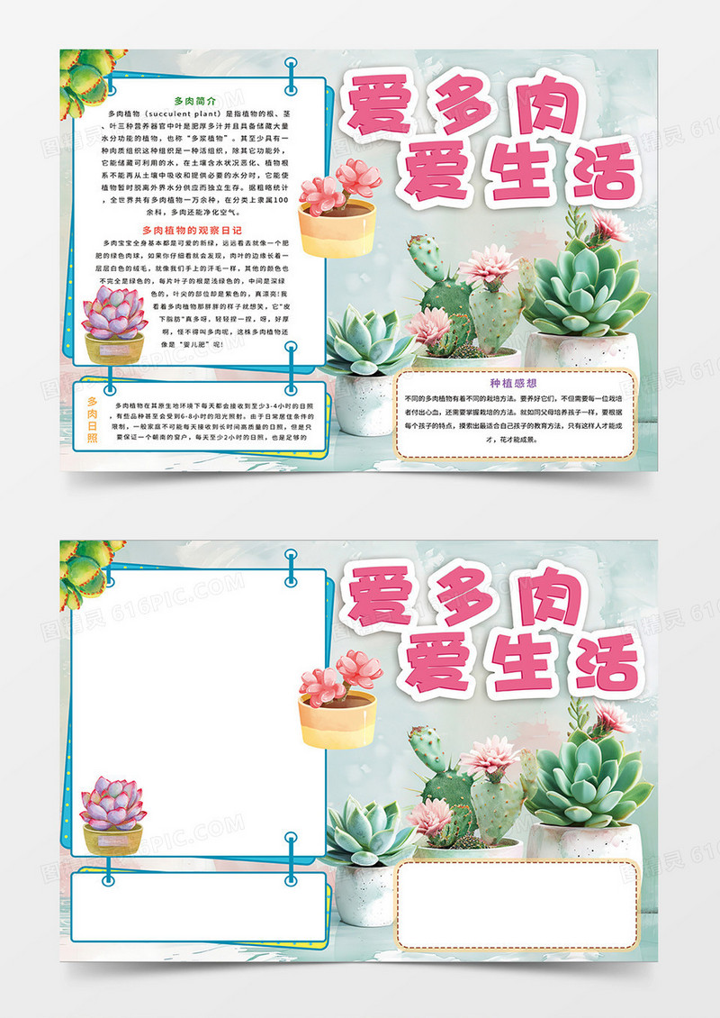 绿色清新爱多肉爱生活小报手抄报
