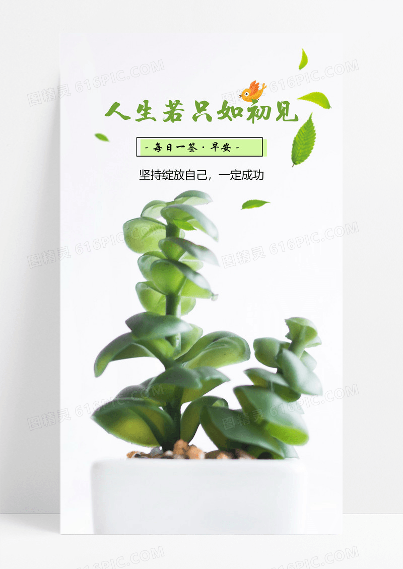 心情记录手机海报配图多肉图片