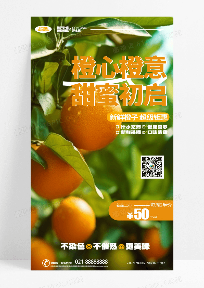 创意时尚大气水果橙子促销手机海报AI