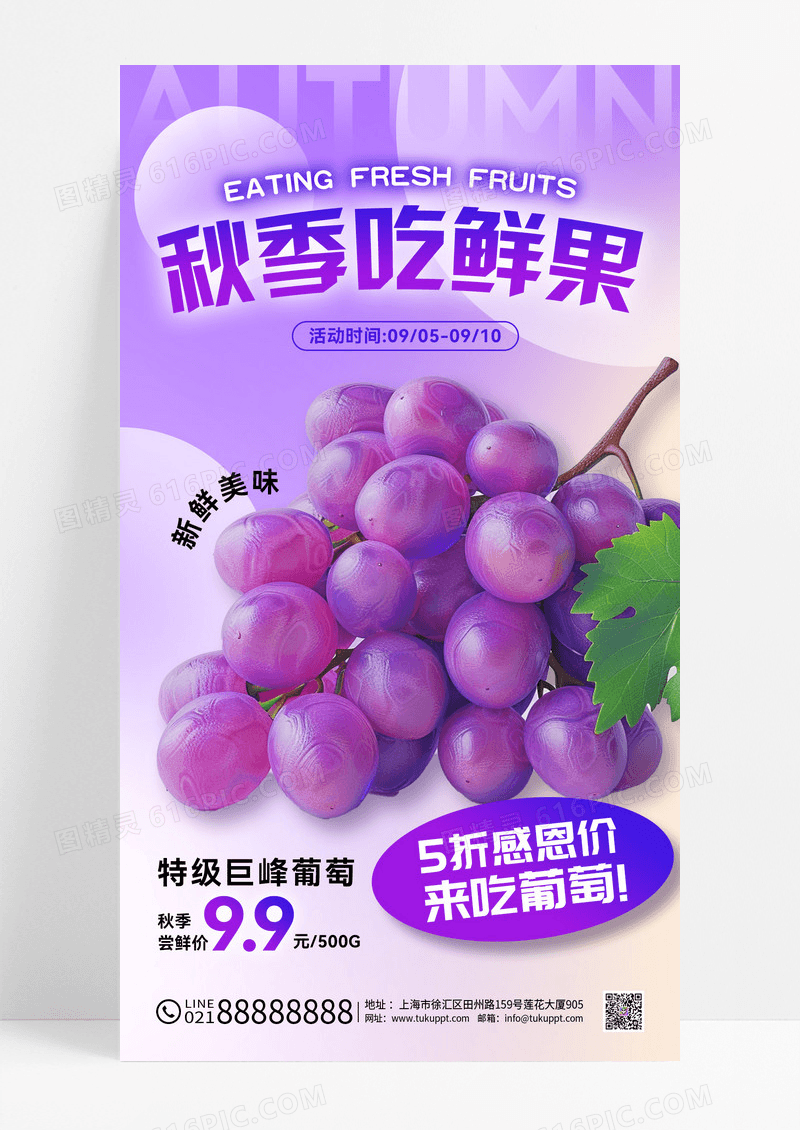 紫色弥散生鲜水果秋季促销葡萄海报