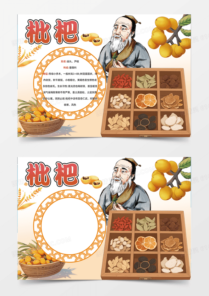 枇杷药用价值传统医学中药材食疗本草文化养生