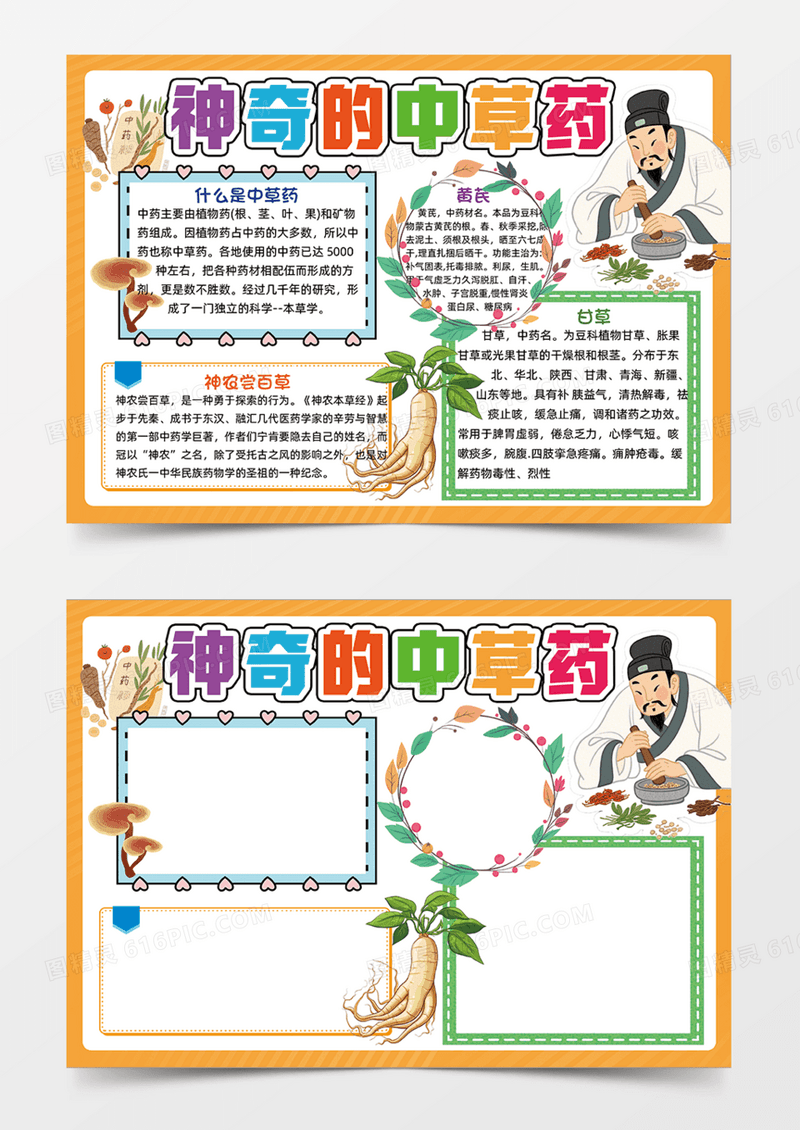 橙色传奇的中草药可爱插画手抄报