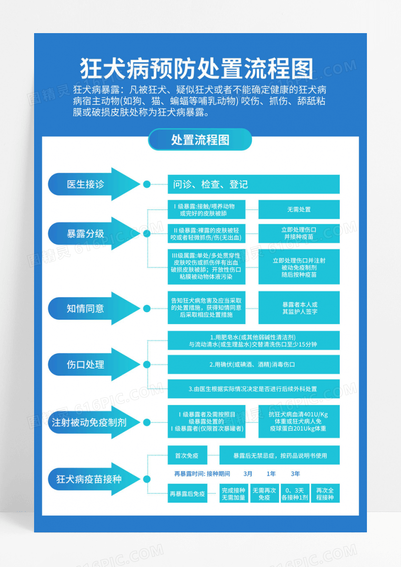 蓝色医院狂犬病预防处置流程图海报