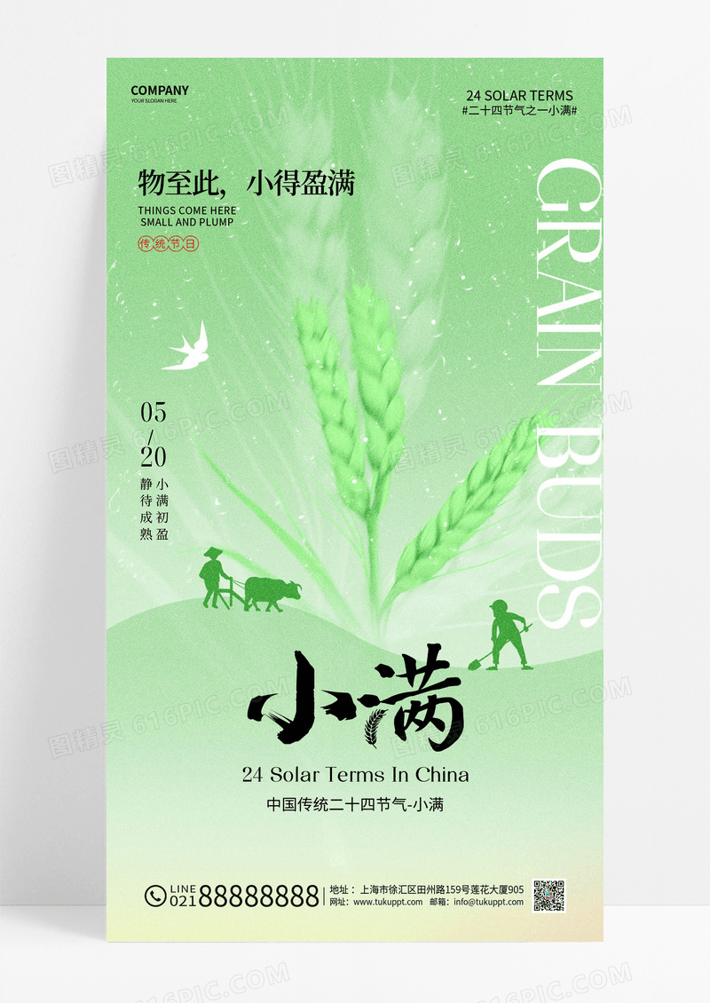 绿色弥散简约二十四节气小满节气海报
