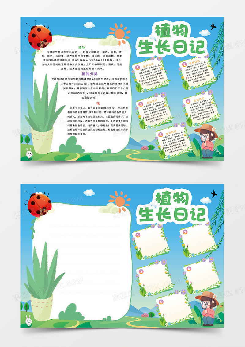 清新植物多肉生长日记小报手抄报