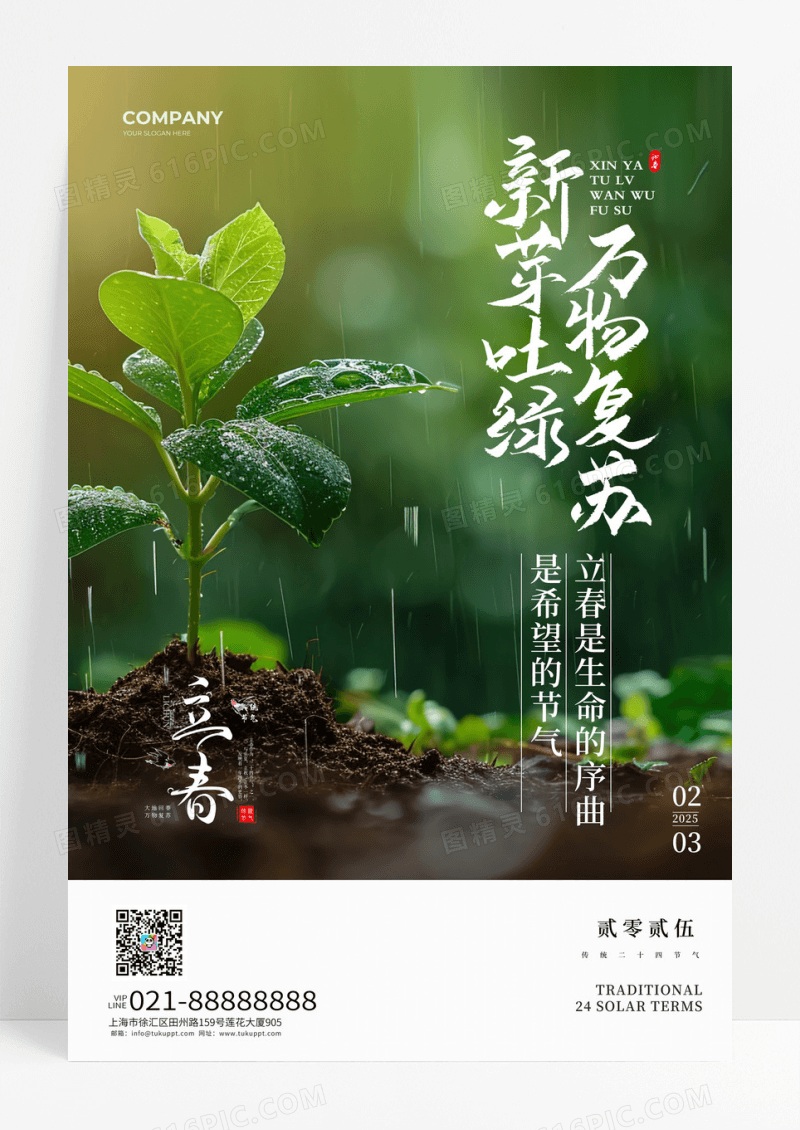 绿色清新立春节气树枝发芽摄影图宣传海报