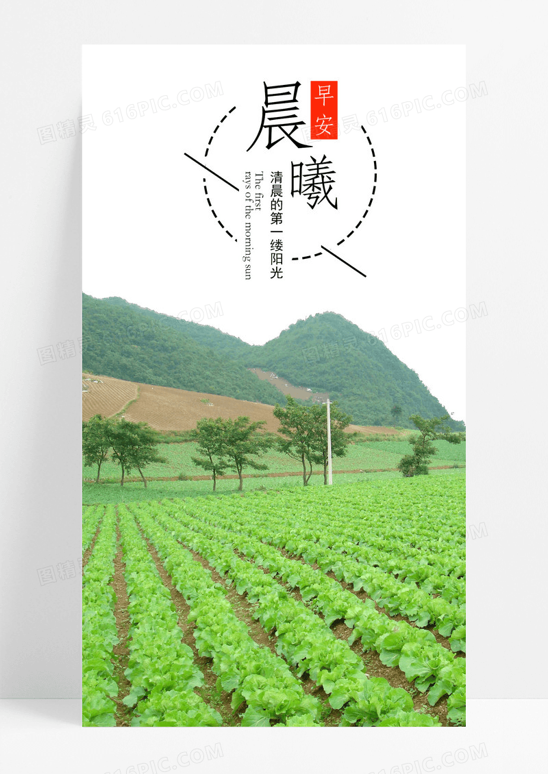 晨曦手机海报配图菜地图片