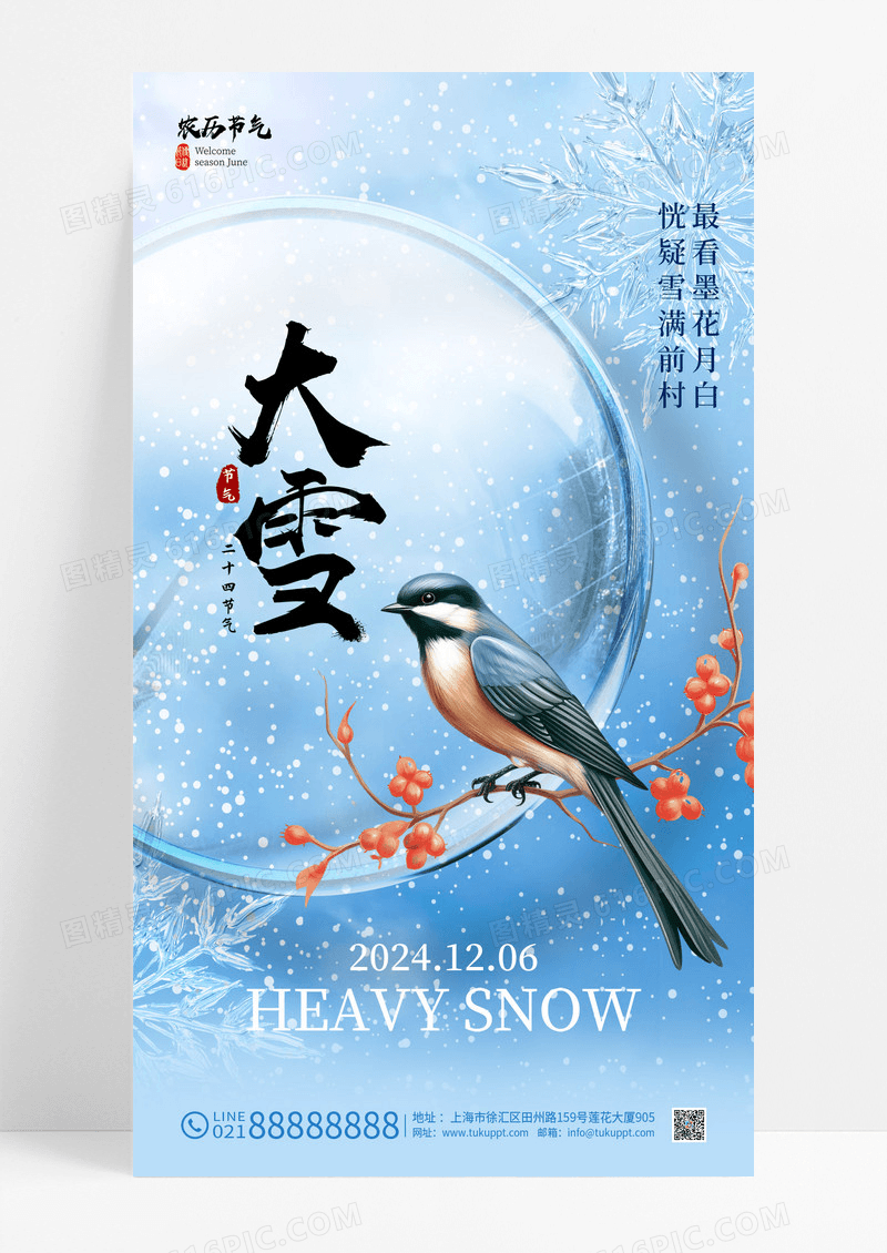 蓝色二十四节气大雪冬季花鸟海报